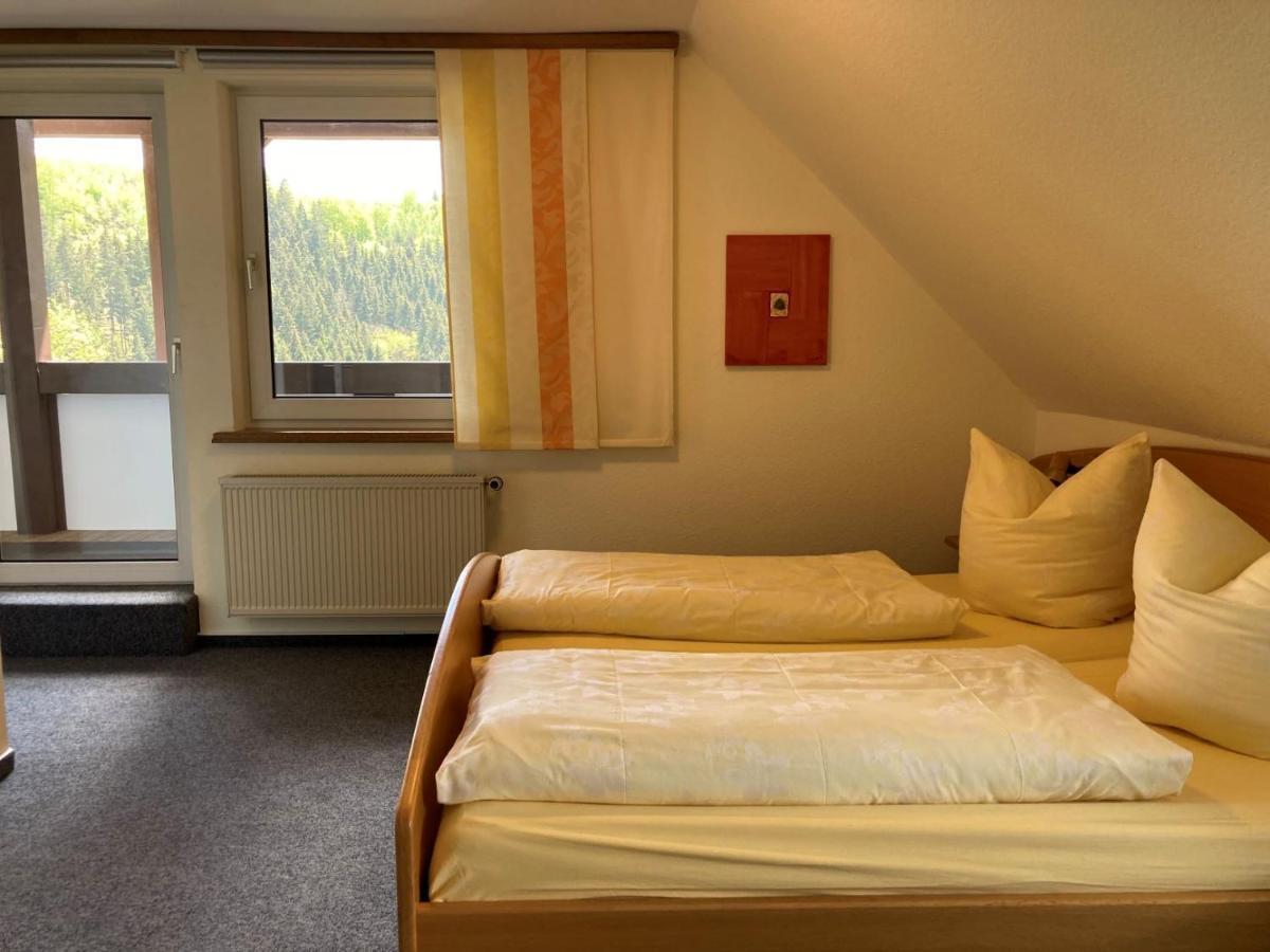 Ferienwohnungen Otto Schmallenberg Extérieur photo