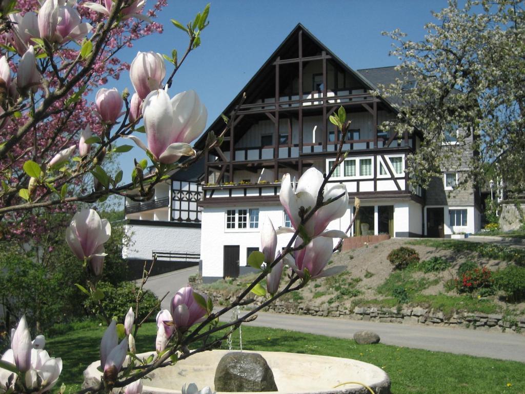 Ferienwohnungen Otto Schmallenberg Extérieur photo
